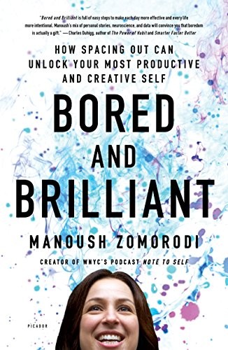Bored and Brilliant - Book Summary