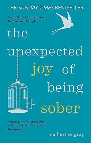 The Unexpected Joy of Being Sober - Book Summary